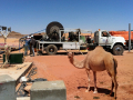 WellJet - Jordan - Camel
