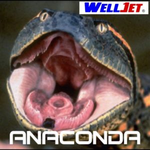 Anaconda Final decal