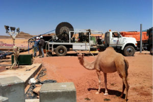 photo of camel at job site